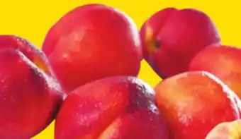 Giant Tiger 2 lb nectarines offer