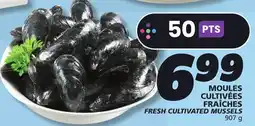 IGA FRESH CULTIVATED MUSSELS offer