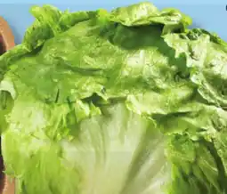 IGA ICEBERG LETTUCE offer