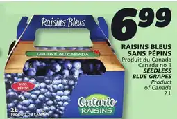 IGA SEEDLESS BLUE GRAPES offer