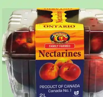 IGA NECTARINES offer