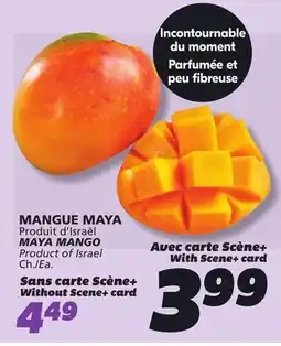 IGA MAYA MANGO offer