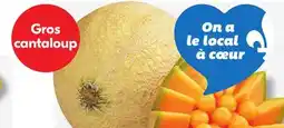 IGA CANTALOUPE offer