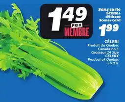 IGA CELERY offer