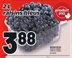 Metro RAISINS BLEUS | BLUE GRAPES offer