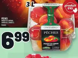 Metro PÊCHES | PEACHES offer