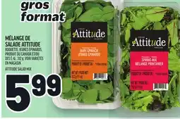Metro MÉLANGE DE SALADE ATTITUDE | ATTITUDE SALAD MIX offer