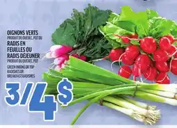 Metro OIGNONS VERTS OU RADIS EN FEUILLES OU RADIS DÉJEUNER | GREEN ONIONS OR TOP RADISHES OR BREAKFAST RADISHES offer