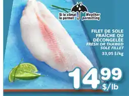 Marches Tradition FRESH OR THAWED SOLE FILLET offer