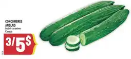 Marché Adonis CONCOMBRES ANGLAIS | ENGLISH CUCUMBERS offer
