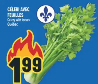 Marché Adonis CÉLERI AVEC FEUILLES | CELERY WITH LEAVES offer