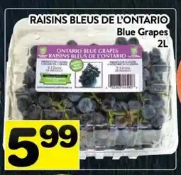 Supermarché PA Blue Grapes offer