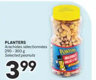 Brunet PLANTERS Arachides sélectionnées offer