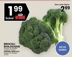 Rachelle-Bery Grocery ORGANIC BROCCOLI offer