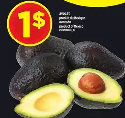 Maxi AVOCADO offer