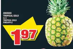 Super C ANANAS TROPICAL GOLD | TROPICAL GOLD PINEAPPLE offer
