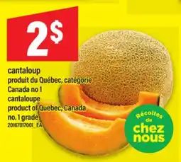 Maxi CANTALOUP PRODUIT DU QUÉBEC, CATÉGORIE offer