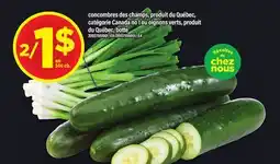 Maxi CONCOMBRES DES CHAMPS, PRODUIT DU QUÉBEC, CATÉGORIE CANADA NO 1 OU OIGNONS VERTS, PRODUIT DU QUÉBEC, BOTTE DU QUÉBEC, BOTTE offer