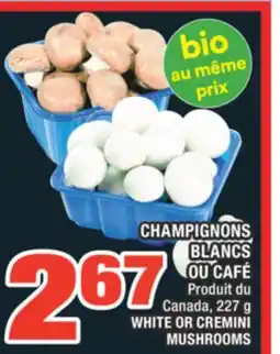 Super C CHAMPIGNONS BLANCS OU CAFÉ | WHITE OR CREMINI MUSHROOMS offer