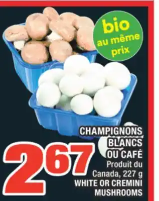 Super C CHAMPIGNONS BLANCS OU CAFÉ | WHITE OR CREMINI MUSHROOMS offer