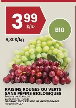 Rachelle-Bery Grocery ORGANIC SEEDLESS RED OR GREEN GRAPES offer