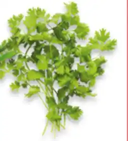 Walmart Cilantro offer