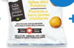 Walmart Your Fresh Market Yellow Potatoes offer