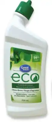 Walmart Great Value Eco All-Purpose or Toilet Bowl Cleaner offer