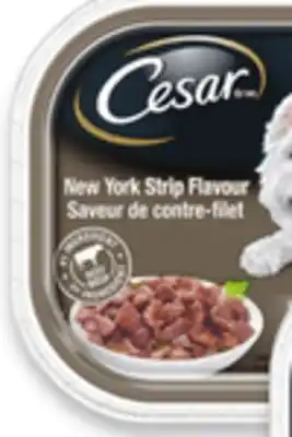 Walmart Cesar Wet Dog Food Singles offer