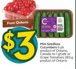 Sobeys Mini Seedless Cucumbers offer