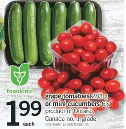 Fortinos grape tomatoes 283 g or mini cucumbers 6's offer