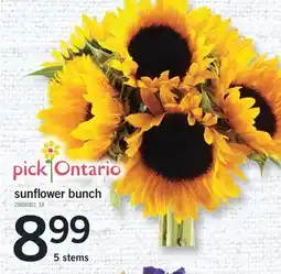 Fortinos SUNFLOWER BUNCH 5 STEMS offer