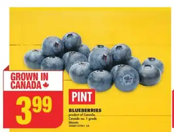 No Frills BLUEBERRIES offer