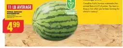 No Frills WHOLE SEEDLESS WATERMELON, 11 LB AVERAGE offer