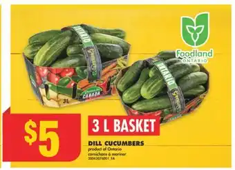 No Frills DILL CUCUMBERS, 3 L BASKET offer
