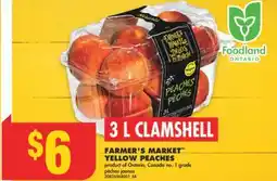 No Frills FARMER'S MARKET YELLOW PEACHES, 3 L CLAMSHELL offer