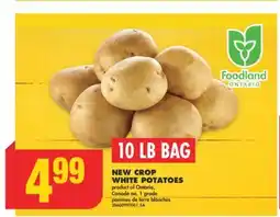 No Frills NEW CROP WHITE POTATOES, 10 LB BAG offer