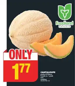 No Frills CANTALOUPE offer