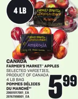 Independent Grocer FARMER'S MARKET APPLES, 4 LB BAG offer