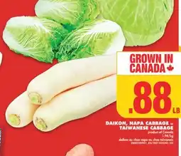 No Frills DAIKON, NAPA CABBAGE or TAIWANESE CABBAGE offer