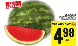 Food Basics SEEDLESS WATERMELON offer