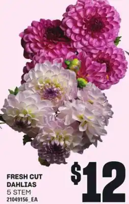 Loblaws FRESH CUT DAHLIAS, 5 STEM offer
