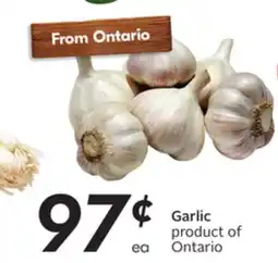 Sobeys Garlic offer