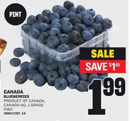 Loblaws BLUEBERRIES offer