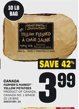 Loblaws FARMER'S MARKET YELLOW POTATOES, 10 LB BAG offer