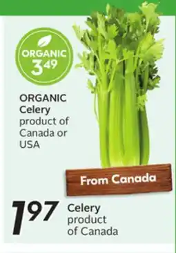 Sobeys Celery offer