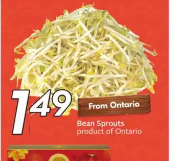 Sobeys Bean Sprouts offer