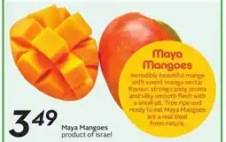 Sobeys Maya Mangoes offer
