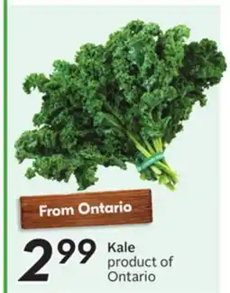 Sobeys Kale offer
