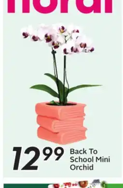 Sobeys Mini Orchid offer